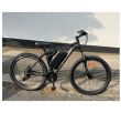 Mercier Electric Bike